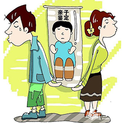 贵阳可以做DNA鉴定吗，贵阳办理亲子鉴定基本流程